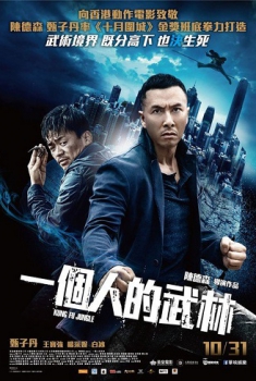 Kung Fu Jungle (2014)
