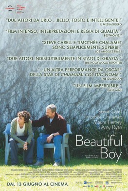 Beautiful Boy (2019)